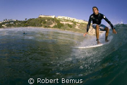 Wild eyd by Robert Bemus 